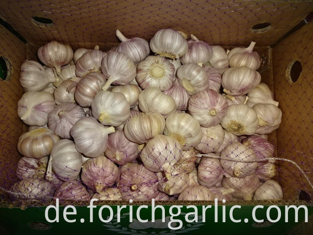 Fresh Garlic For Sale